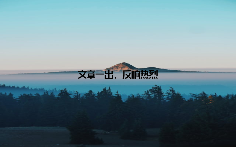 文章一出, 反响热烈