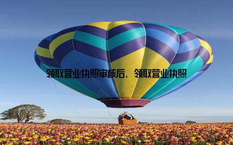 领取营业执照审核后, 领取营业执照