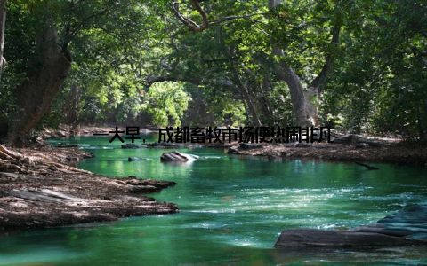 一大早, 成都畜牧市场便热闹非凡