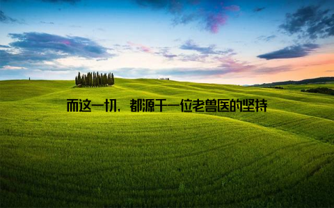 而这一切, 都源于一位老兽医的坚持