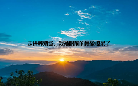 走进养殖场, 我被眼前的景象惊呆了