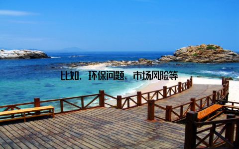 比如, 环保问题、市场风险等