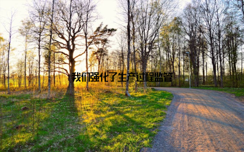 我们强化了生产过程监管