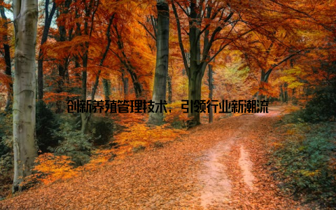 创新养殖管理技术, 引领行业新潮流