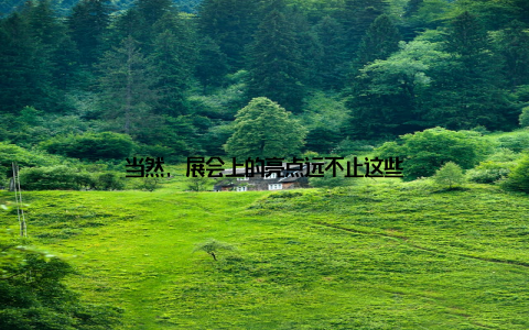 当然, 展会上的亮点远不止这些