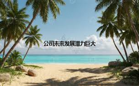 公司未来发展潜力巨大