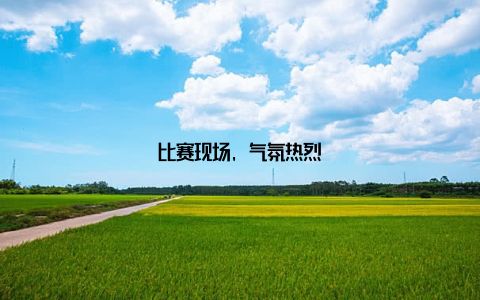 比赛现场, 气氛热烈