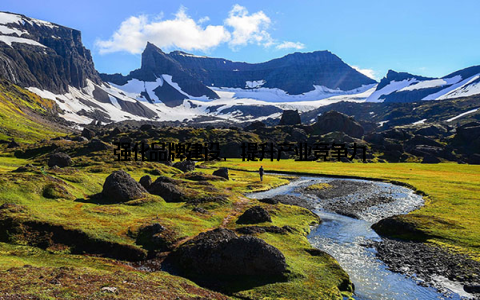 强化品牌建设, 提升产业竞争力