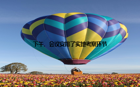 下午, 会议安排了实地考察环节