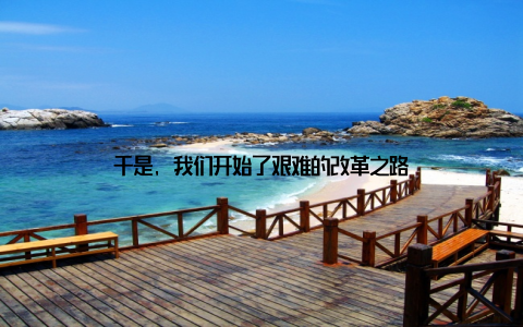 于是, 我们开始了艰难的改革之路