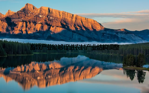畜牧产业能够促进农村产业结构调整