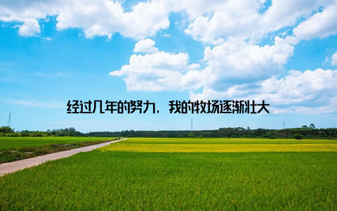 经过几年的努力, 我的牧场逐渐壮大