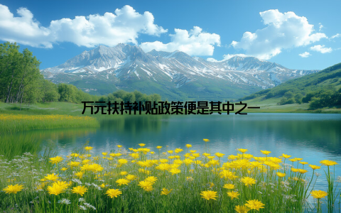 万元扶持补贴政策便是其中之一