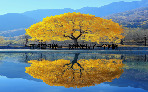 在检查过程中, 我还发现了一个问题