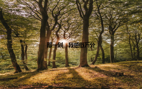 那一刻, 我感慨万分