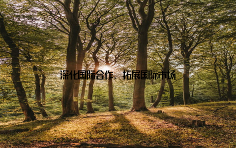 深化国际合作, 拓展国际市场