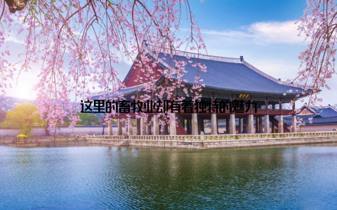 这里的畜牧业却有着独特的魅力