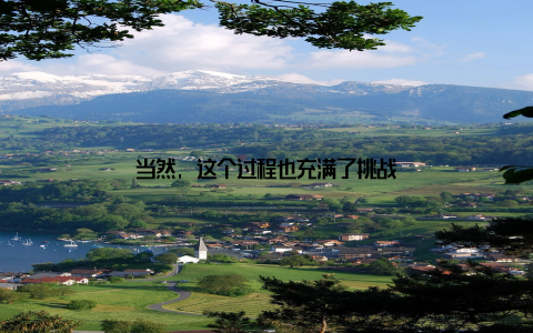 当然, 这个过程也充满了挑战