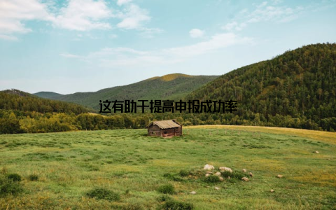 这有助于提高申报成功率