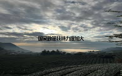 国家政策扶持力度加大