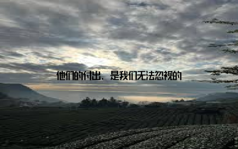 他们的付出, 是我们无法忽视的