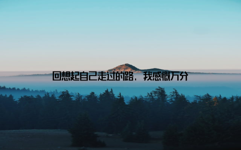 回想起自己走过的路, 我感慨万分