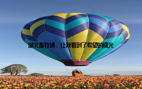 湖北畜牧通, 让我看到了希望的曙光