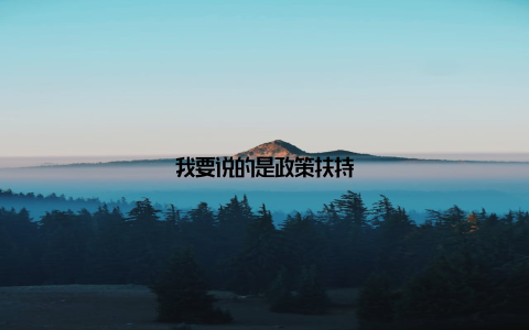 我要说的是政策扶持