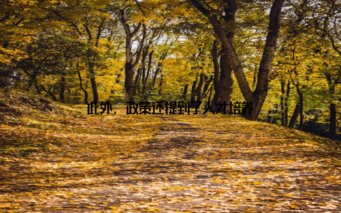 此外, 政策还提到了人才培养