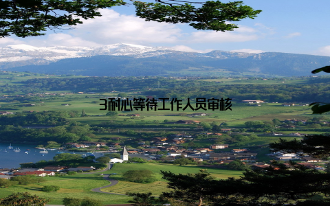 3耐心等待工作人员审核