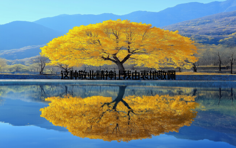 这种敬业精神让我由衷地敬佩