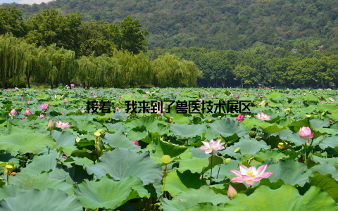 接着, 我来到了兽医技术展区