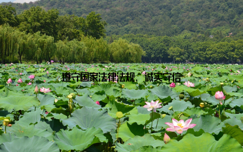 遵守国家法律法规, 诚实守信