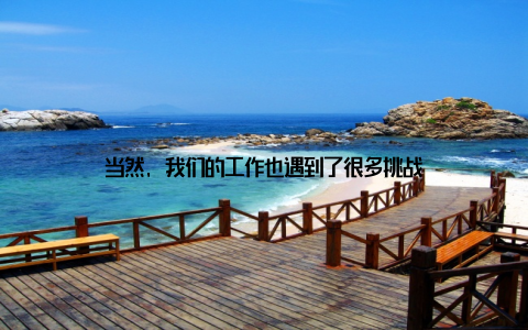 当然, 我们的工作也遇到了很多挑战