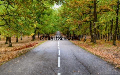 这句话让我深受触动