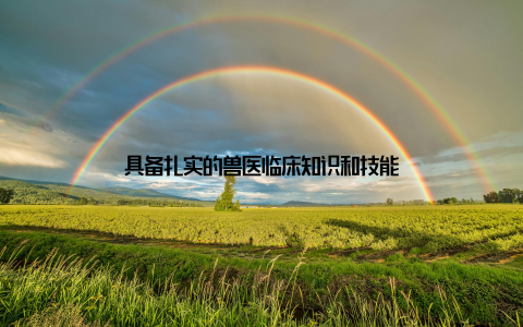 具备扎实的兽医临床知识和技能