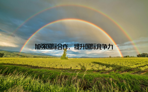 加强国际合作, 提升国际竞争力