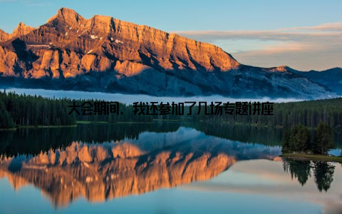 大会期间, 我还参加了几场专题讲座