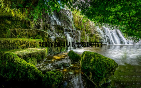 我们的项目从收集数据开始