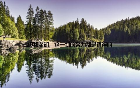 但我深知, 这一切的努力都是值得的