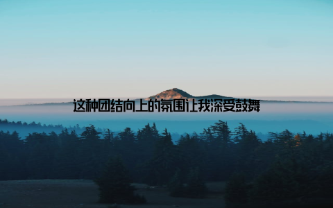 这种团结向上的氛围让我深受鼓舞