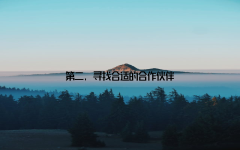 第二, 寻找合适的合作伙伴